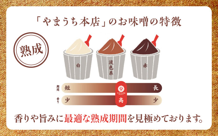 まぼろしの味噌米麦あわせ・熟成麦 500g×12個セット【株式会社山内本店】 [BHAE026]