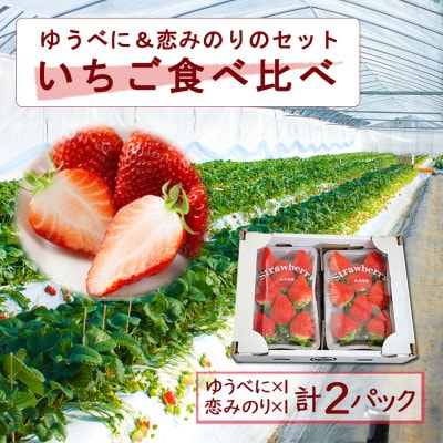 熊本阿蘇のいちご食べ比べ各1パックセット(ゆうべに・恋みのり)【配送不可地域：離島】【1701860】