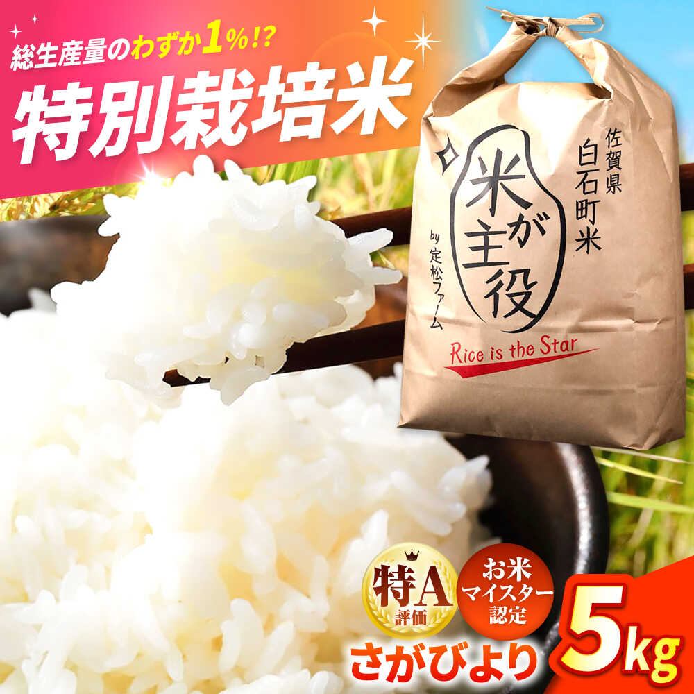 【ふるさと納税】【令和7年11月以降発送】【令和7年産】こだわりの特別栽培米！ さがびより 5kg（白米）【定松ファーム】米 お米 新米 ブランド米 農家直送 特別栽培 特別栽培米 特A評価 特A 令和7年 おすすめ 人気 佐賀県 白石町 [IBV001]
