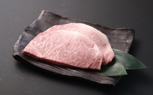 長崎和牛 サーロイン ステーキ 約200g×2枚 合計400g 和牛 お肉 肉 国産 ステーキ 肉の牛長