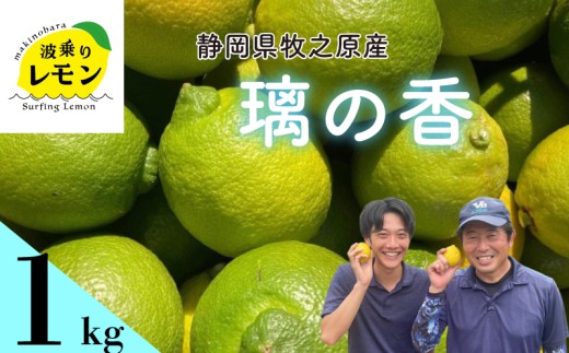 【国産 レモン】牧之原産 波乗りレモン 璃の香 1kg 国産 Lemon 檸檬 柑橘類 柑橘 フルーツ 果物 酸っぱい 果肉 酸味  防腐剤不使用 自宅用 贈答品 レモンスカッシュ レモンパウンドケーキ レモンサワー くだもの 家庭用 静岡県産 農家直送 産地直送 産直 みどり 黄色 グリーンレモン イエローレモン おすすめ 美味しい りのか  静岡県 牧之原市