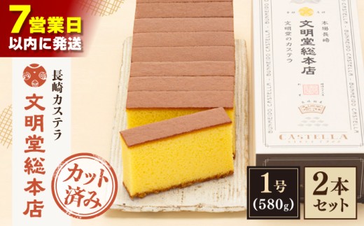 【最速発送】【こだわりの逸品】長崎カステラ［2号］（1号10切入×2本入）【文明堂総本店】 [QAU019] お菓子 スイーツ 洋菓子 贈答 / 長崎県 佐々町