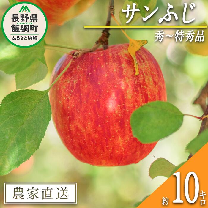 【ふるさと納税】 りんご サンふじ 秀 〜 特秀 10kg 渡辺農園 令和7年度収穫分 エコファーマー認定 減農薬栽培 長野県 飯綱町 〔 信州 果物 フルーツ リンゴ 林檎 長野28000円 予約 農家直送 〕発送時期：2025年12月上旬〜2026年1月中旬{***}