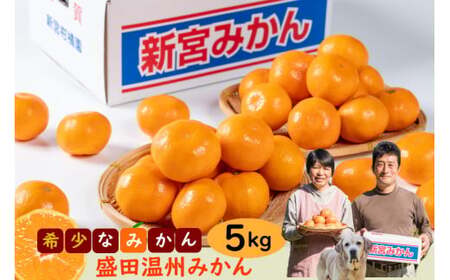 新宮みかん園　希少なみかん盛田温州 （S～L）５kg　みかん 温州みかん 完熟みかん 甘熟 柑橘 国産 佐賀県産 太良町 M73