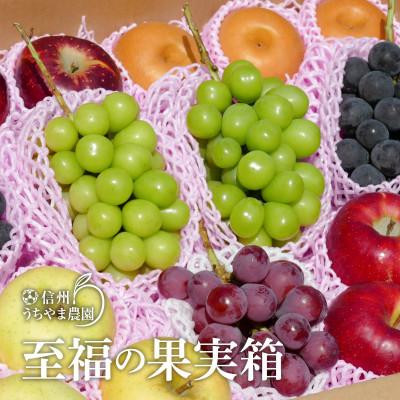 ふるさと納税 長野県 信州うちやま農園のフルーツ詰め合わせ【秋に届く】至福の果実箱D 大箱 シャインマスカット入り