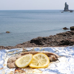 枕崎産 かつおの腹皮 250g×10パック A3−49【配送不可地域：離島】【1166526】