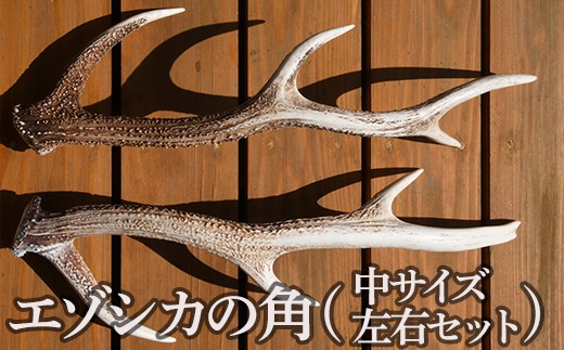 
                  エゾシカの角（中サイズ、左右セット） ふるさと納税 人気 おすすめ ランキング エゾシカ えぞ鹿 蝦夷しか 蝦夷鹿 角 中 鹿角 用途自在 左右 天然 オブジェ アクセサリー 贈答 贈り物 ギフト プレゼント 北海道 福島町 送料無料 FKB009
                