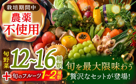 野菜+果物 詰め合わせ（13-17種）果物 フルーツ[AGBX006]