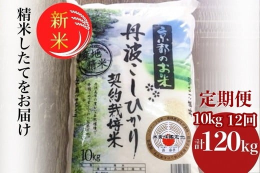 
            【12月末まで】京都丹波産 新米 こしひかり 精米 10kg × 12回 定期便【みなと】 白米 米 お米 こめ コメ ライス ご飯 ごはん ふっくら つやつや おいしい 美味しい 贈り物 単一原料米 国産 コシヒカリ 仕送り お取り寄せ 令和7年産米 産地直送 定期便米 米定期便 人気 おすすめ 10キロ 120キロ １０ｋｇ １２０ｋｇ ※北海道・沖縄・離島への配送不可
          