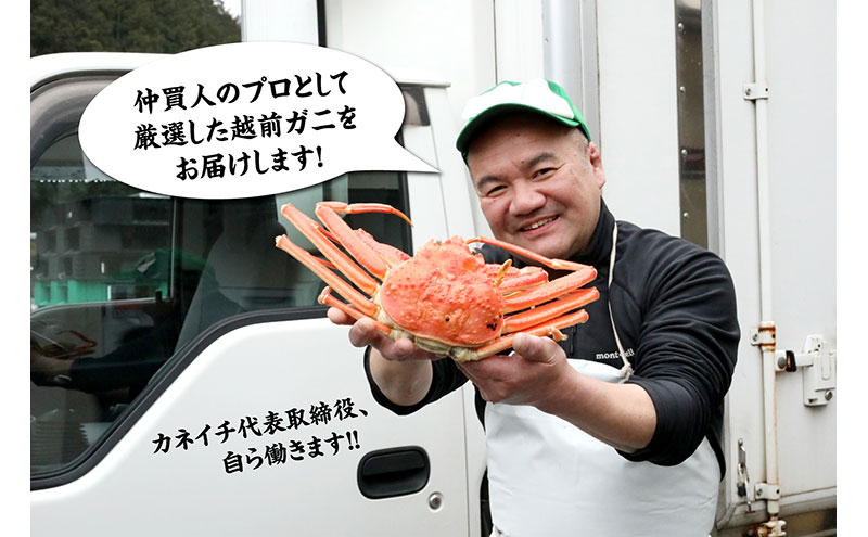 【1月出荷】かに 越前ガニ 1.3kg～1.4kg 1杯 【特大サイズ】ボイル  茹で 越前がに 越前かに ずわいがに ズワイガニ カニ 姿  蟹鍋 献上ガニ 産地直送 お歳暮 福井県おおい町 ギフト