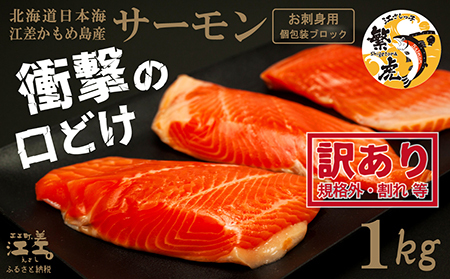 ＼配送時期指定可／【訳あり】北海道産 サーモン お刺身用ブロック 1kg（約10～14パック前後）　日本海 かもめ島海面養殖　純国産 ブランドサーモン『江さしっ子 繁虎』　衝撃の口どけ　とろける脂　生食可　冷凍　小分け　個包装　トラウトサーモン　刺身　サーモンステーキ　カルパッチョ　海鮮　鮭　さけ　シャケ　しゃけ　さーもん