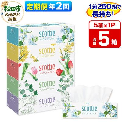 ふるさと納税 秋田市 《2回定期便》ティッシュ スコッティフラワーボックス 250組 5箱×1|15_nsc-070102