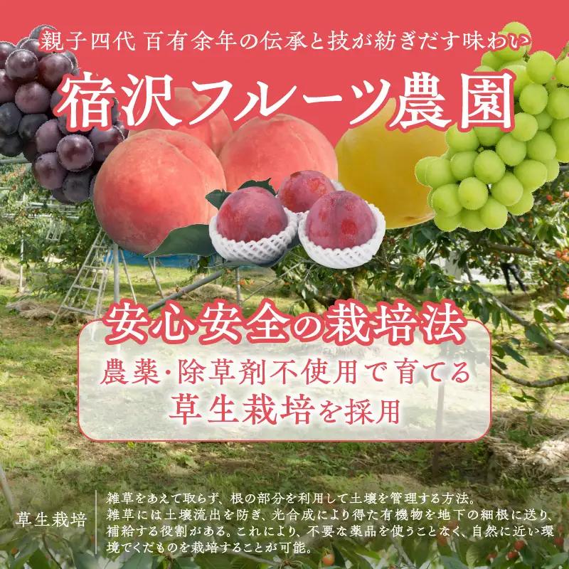 【宿沢フルーツ農園】山梨のフルーツ定期便5回コース 1～2名様用（SF）F-105 さくらんぼ 桃 すもも ぶどう 柿 フルーツ