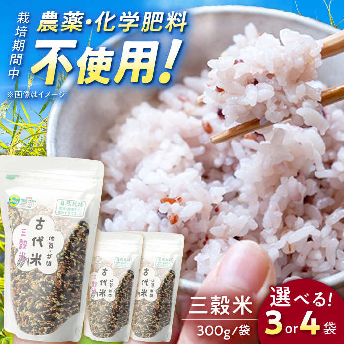 【ふるさと納税】自然農法で育てた 古代米 三穀米 （黒米・赤米・緑米） 900g（300g×3袋）/ 1.2kg（300g×4袋） /永尾忠則 [UAS002] 雑穀 雑穀米 お米 米