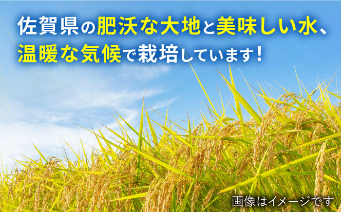 【最高ランク特A評価14年連続！】さがびより 10kg 白米