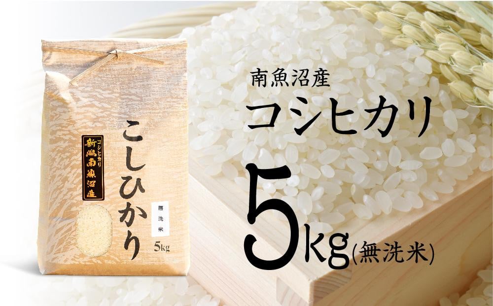 
            【令和7年産 新米予約】南魚沼産コシヒカリ（無洗米）【5kg】【令和7年10月中旬以降発送】【米 お米 こしひかり 南魚沼 米 無洗米 こめ 新潟 米】
          