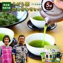 【ふるさと納税】熊本県 相良村産 さがら茶 詰め合わせセット 5種 箱入り ギフト お茶 緑茶 特上煎茶 玉緑茶 白折 食べる緑茶 九州産 送料無料