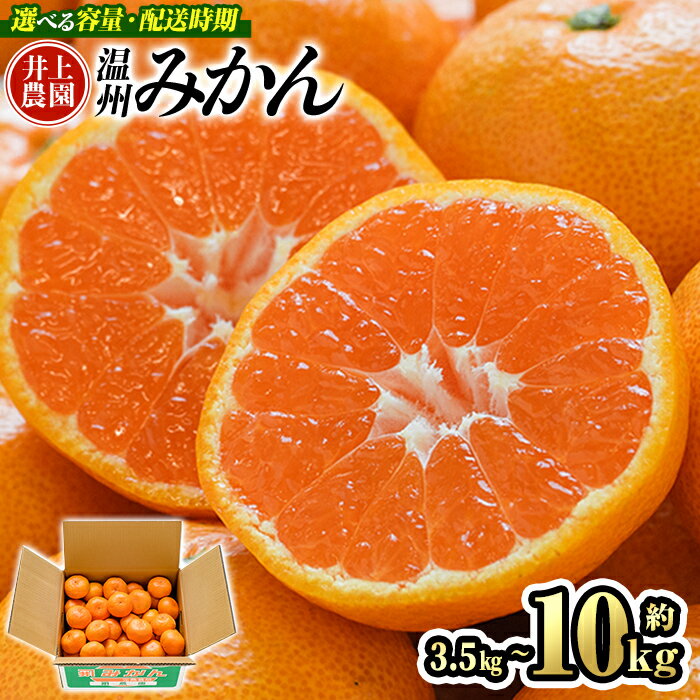 【ふるさと納税】 温州みかん (約3.5kg・5kg・10kg) みかん ミカン 蜜柑 うんしゅうみかん 柑橘 早生 フルーツ 果物 くだもの 果実 国産 大分県宇佐市産 ＜11月以降順次発送＞＜数量限定＞＜容量・配送時期が選べる＞【103600700・103600101・103600201】【井上農園】