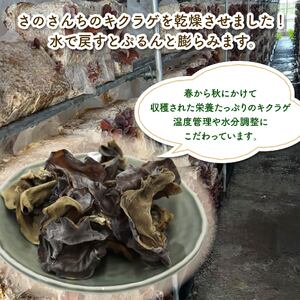 乾燥 きくらげ しいたけ スライス  しいたけパウダー 各2袋