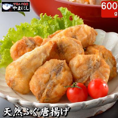 ふるさと納税 下関市 ふぐ 唐揚げ セット 600g 下関 山口 AU201-NT