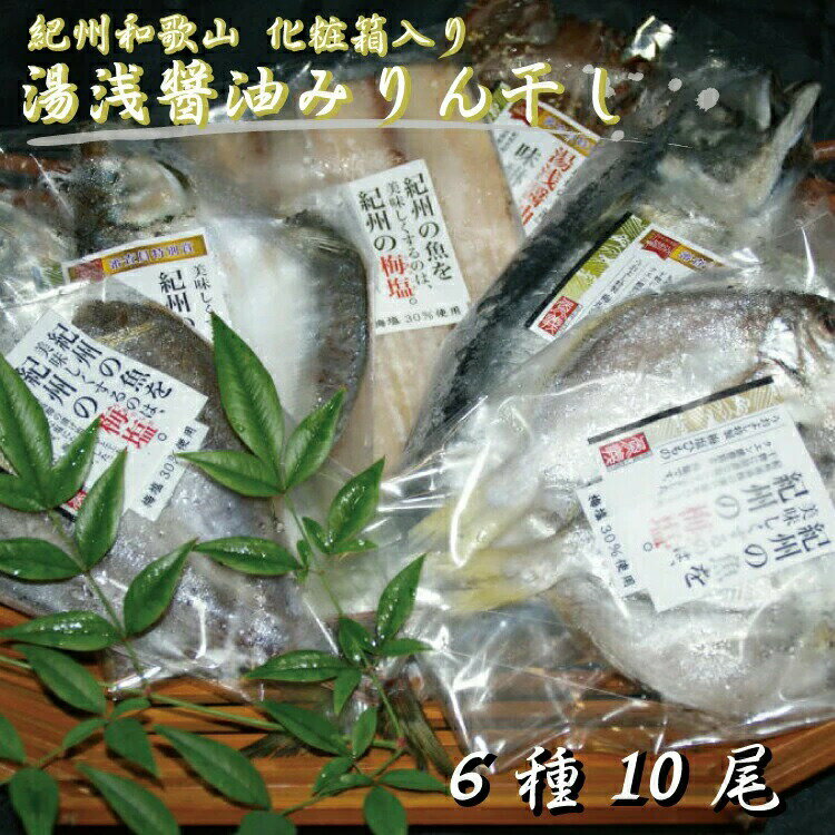 【ふるさと納税】 和歌山の近海でとれた新鮮魚の湯浅醤油みりん干し6品種10尾入り 詰め合わせ / みりん干し 干物セット さんま サバ アジ 干物