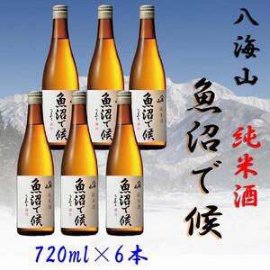 【魚沼地域限定】純米酒 八海山「魚沼で候」720ml×6本