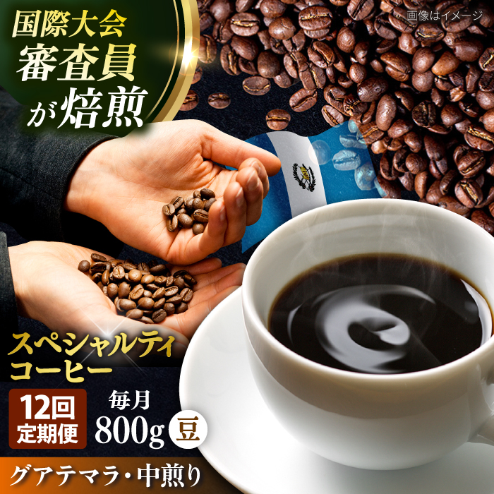 【全12回定期便】コーヒー豆 自家焙煎 中煎り グアテマラ 200g×4 TSUKIKOYA COFFEE ROASTER ツキコヤ【株式会社RUINS】 [AKAD015]