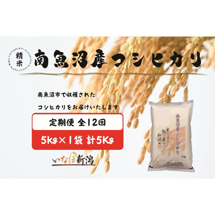 【ふるさと納税】【令和7年産】【定期配送】南魚沼産コシヒカリ 白米 5kg 全12回 | お米 こめ 白米 食品 人気 おすすめ 送料無料