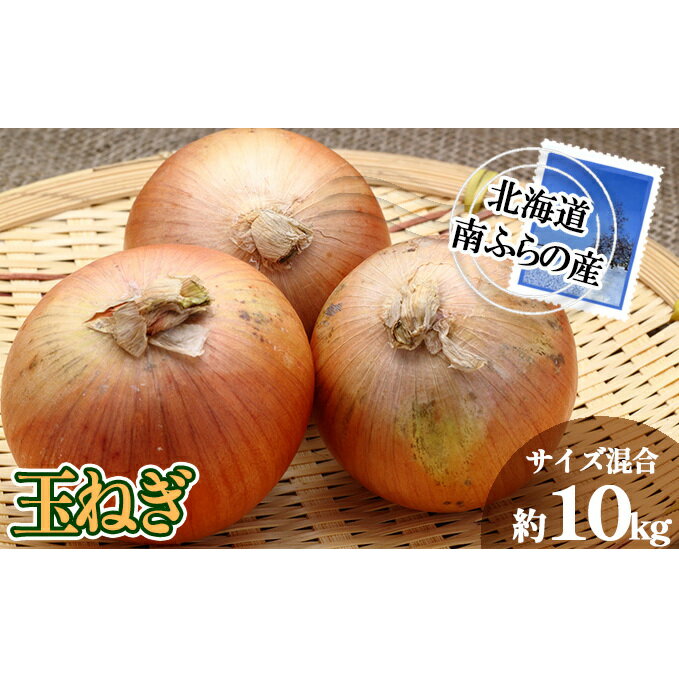 【ふるさと納税】南ふらの産 玉ねぎ 約10kg 【サイズ混合】 北海道 南富良野町 2025年発送 先行予約 北海道 南富良野町 玉葱 玉ネギ 玉ねぎ ネギ ねぎ 先行予約 野菜 たまねぎ 　お届け：2026年9月初旬～10月初旬