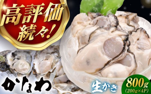 【生牡蠣】 かなわの生牡蠣 むき身200g×4パック 計800g 江田島市／株式会社かなわ [XBP003]｜生牡蠣 牡蠣 生食 むき身 かき カキ 生牡蠣 広島牡蠣 オイスター 冬かき 魚介類 魚介 貝類 海鮮 広島県産 国産 産地直送 贈答 ギフト 特産品