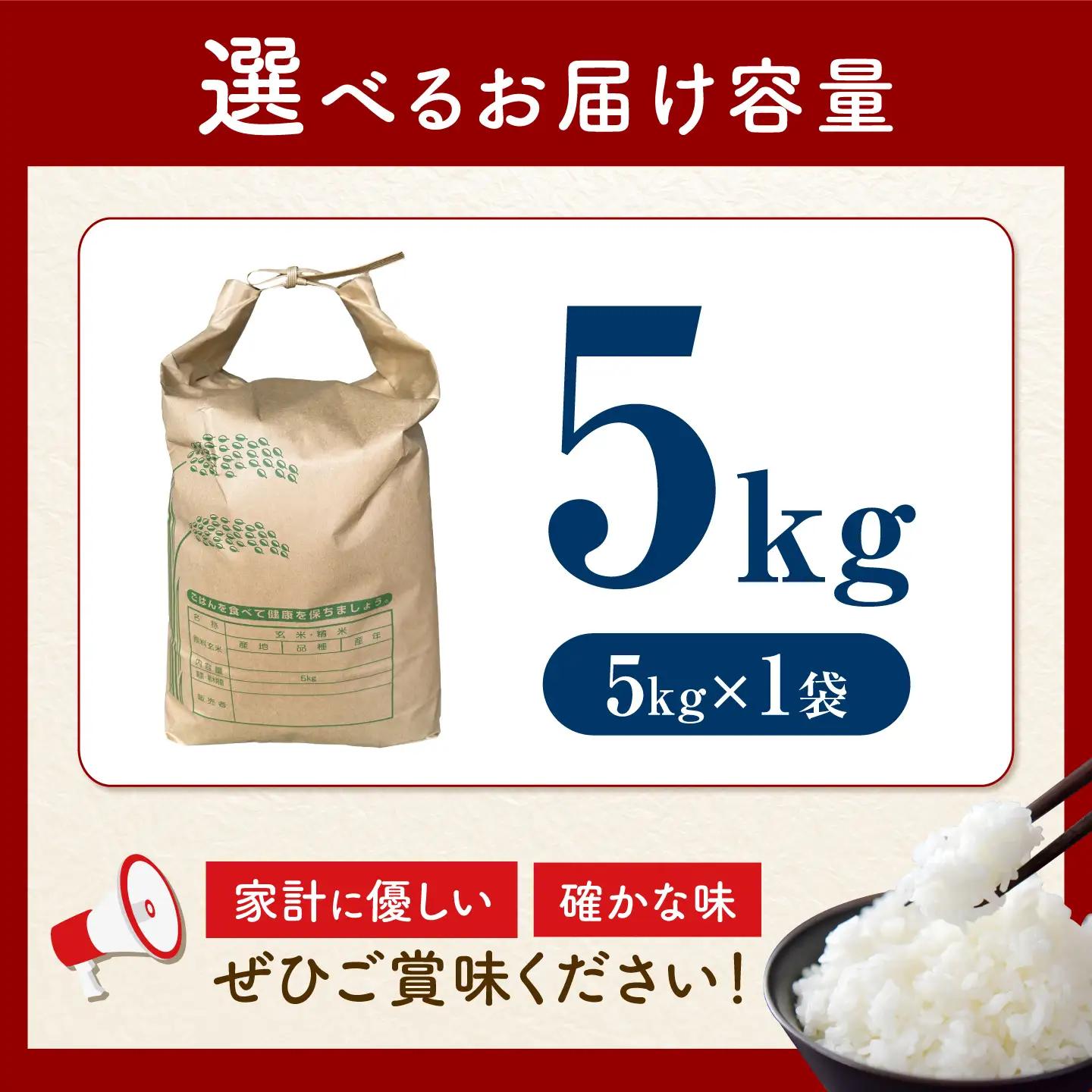 【令和8年産新米予約】【特Aランク受賞実績あり！】はるみ 5kg【井上農園】 米 お米 精米 白米 はるみ 新米 令和8年産[BDBB006-1]