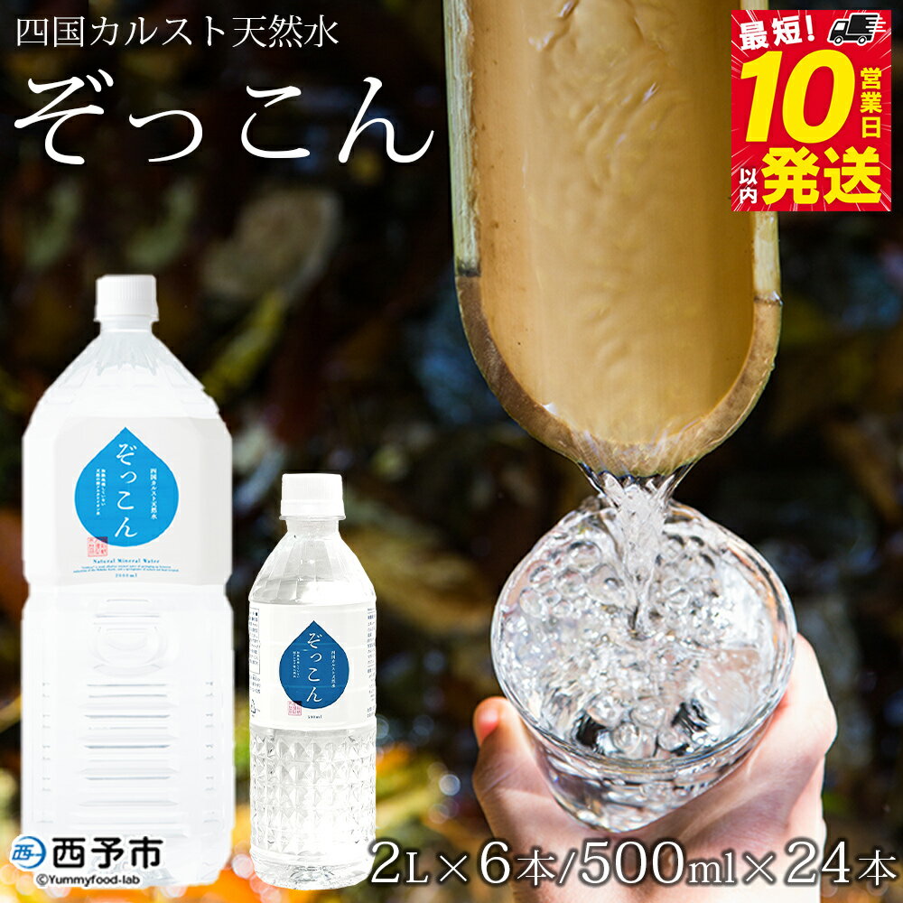 【ふるさと納税】＜四国カルスト天然水ぞっこん 2L×6本+500ml×24本＞飲料 水 みず 中硬水 弱アルカリイオン水 ペットボトル ウォーター バナジウム 備蓄 防災 非常用 キャンプ アウトドア 国産 特産品 ぞっこん四国 愛媛県 西予市【常温】『最短10営業日以内に発送予定』