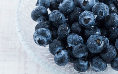 【先行予約 令和8年度発送】山形県産 ブルーベリー 100g×4パック M～Lサイズ FSY-2401