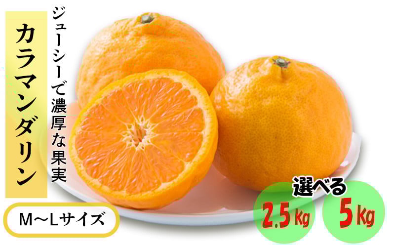 
            ★発送は4月下旬～★ カラマンダリン 2.5kg または 5kg（MからLサイズ）
          
