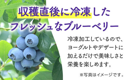 【8月末より順次発送】【加工用】冷凍ブルーベリー 2kg【「のん気・元気」百姓家】[YAL027]