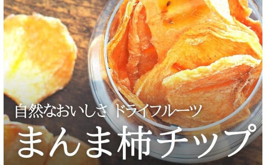 
            ドライフルーツ 柿チップ 200g ( 40g × 5袋 ) 和歌山県産 果物使用 自社製造 【みかんの会】
          