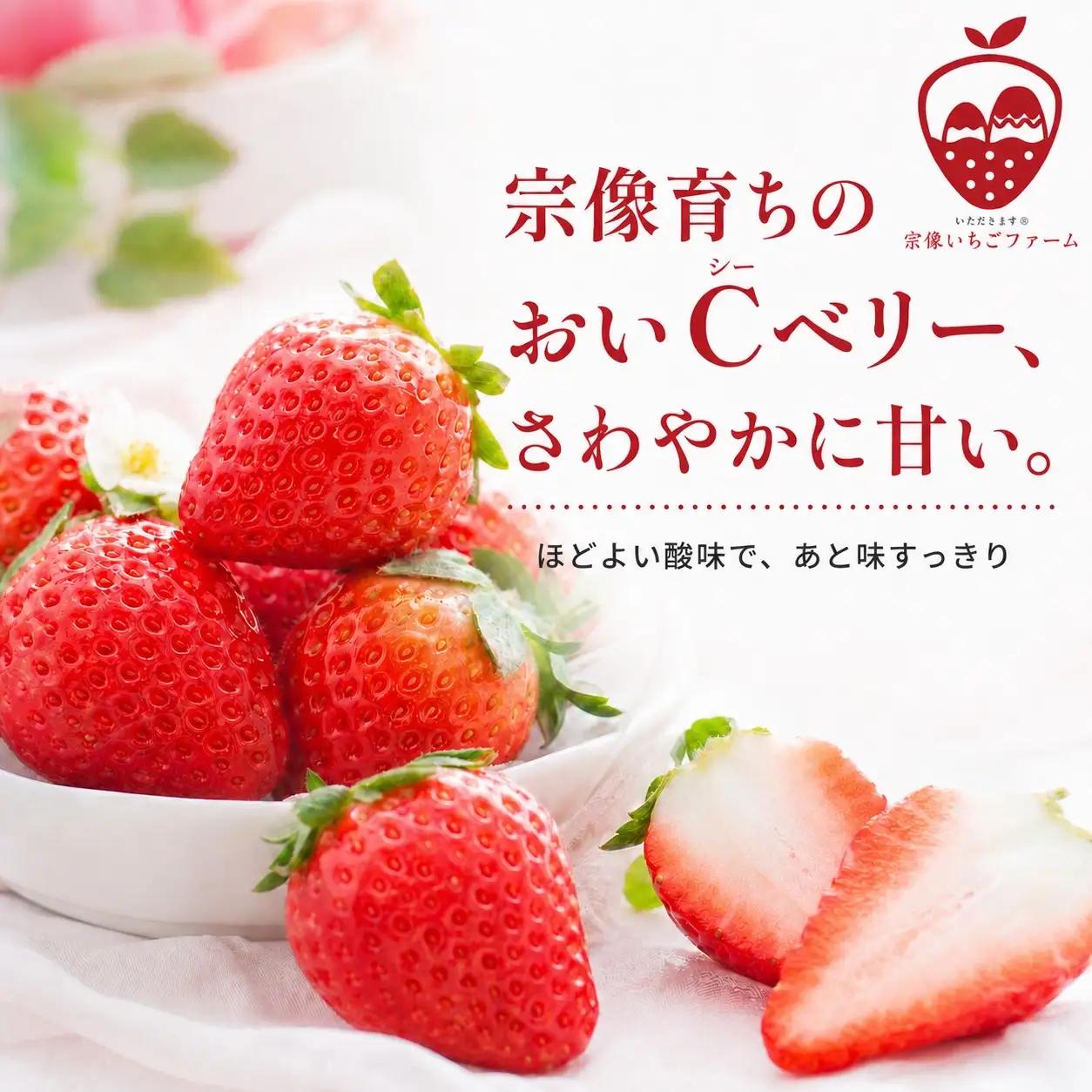 【先行予約】【2027年1月より順次発送】【3ヶ月毎月お届け】人気のいちご 2品種食べ比べ定期便【宗像いちごファーム】_HB0214 苺 イチゴ あまおう おいCベリー 福岡県宗像市 宗像市 福岡 宗