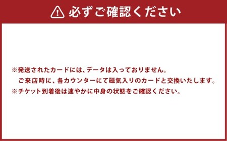 サーキット 5レースカード×3枚セット 大和レジャー スポーツプラザ ビッグバン 室内サーキット スリックカート ドリフト走行 チケット 利用券 室内 スポーツ アミューズメント 神奈川県 大和市 送