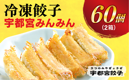 【宇都宮みんみん】　餃子30個入り×2箱【配送不可地域：離島 】◇｜ぎょうざ ｷﾞｮｳｻﾞ 餃子 ｷﾞｮｰｻﾞ 惣菜 名物 グルメ おかず ぎょうざ 餃子 ｷﾞｮｰｻﾞ ご飯 おつまみ 餃子