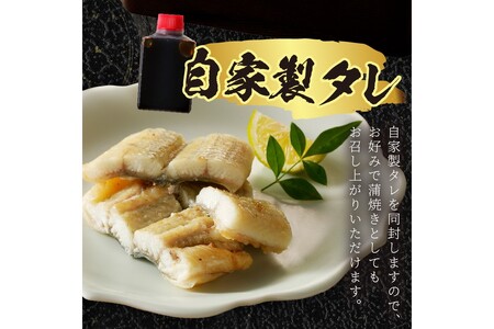 うなぎ／うなぎの白焼き2~3人前（1尾）ウナギ特製タレと山椒付き　うなぎの白焼きセット・うなぎの白焼き・うなぎ１匹