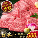 【ふるさと納税】【大自然の贈り物！】 長崎和牛 カルビ 約500g【ながさき西海農業協同組合】 [QAK001] 肉 和牛 牛肉 ブランド牛 人気 赤身 焼肉 焼き肉 ランチ 丼 さざちょう おすすめ 3万円 30000円