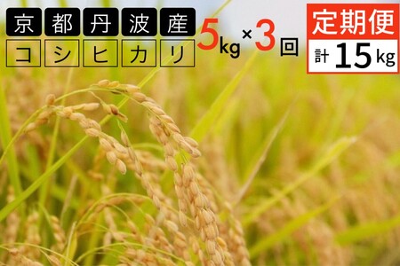 新米 定期便 令和7年産 【3回定期便】 白米 コシヒカリ 5kg