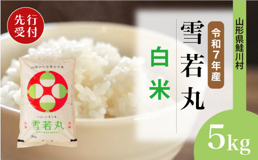 ＜令和7年産米先行受付＞ 令和8年3月上旬発送　雪若丸 【白米】 5kg （5kg×1袋） 鮭川村