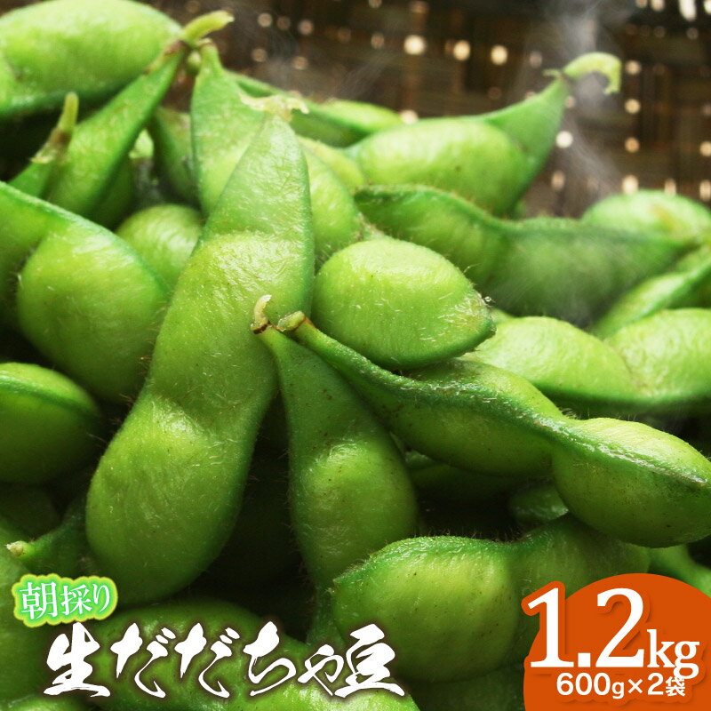 【ふるさと納税】【令和7年産先行予約】 鶴岡市特産　朝採りだだちゃ豆　1.2kg（600g×2袋）【選べる発送週】8/4頃〜お届け　枝豆 鮮度保持袋 チャックつき大袋 自家採種 朝採り 新鮮