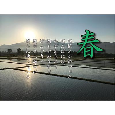 ふるさと納税 南魚沼市 【毎月定期便】南魚沼産 コシヒカリ 白米5kg 全6回 |  | 02