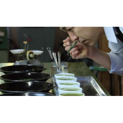 ふるさと納税 掛川市 深蒸し掛川茶三昧セット　100g×3袋(ギフト箱入) |  | 02