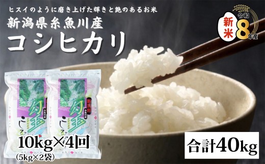 【令和8年産新米】新潟県産コシヒカリ『勾玉米』10kg（5kg×2袋）×4回 合計40kg 木島米穀店【新潟県 糸魚川市 米 お米 白米 こめ コメ こしひかり ご飯 ライス ブランド米 10キロ 40キロ 2026年産 食品 人気 おすすめ】