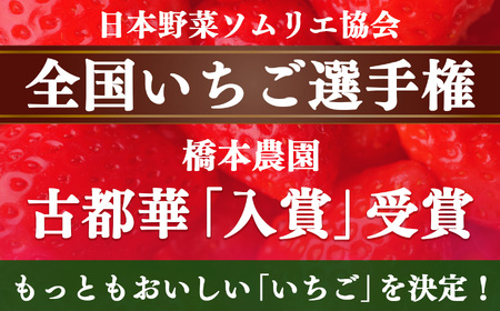 奈良県西吉野産 大和なでし苺 古都華 約270g×4パック（2箱） | フルーツ くだもの 果物 いちご イチゴ 大和なでし苺 ことか コトカ 古都華 奈良県 五條市和なでし苺 ことか コトカ 古都華