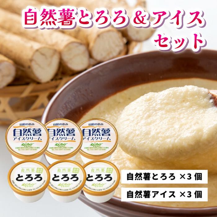 【ふるさと納税】とろろ アイスクリーム 2つを混ぜると大福味に 高原の恵み セット 6個入り 自然薯 詰め合わせ 野菜 アイス スイーツ デザート　029001