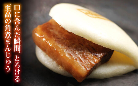 【全2回定期便】大とろ 角煮まんじゅう 10個(1箱) 冷凍 角煮 角煮まん 個包装 豚まん[WBC022]